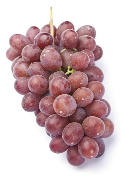 Fruits du raisin — Photo