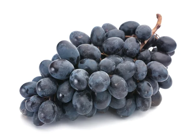 Blaue Traubenfrucht — Stockfoto