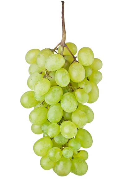Grape fruit — Stockfoto