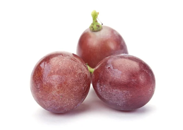 Traubenfrucht — Stockfoto
