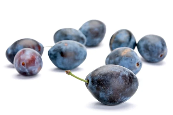 Blue plum — Stock Photo, Image