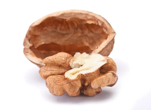 Walnut with shell — Stock Photo, Image