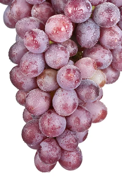 Röd grapefrukt — Stockfoto