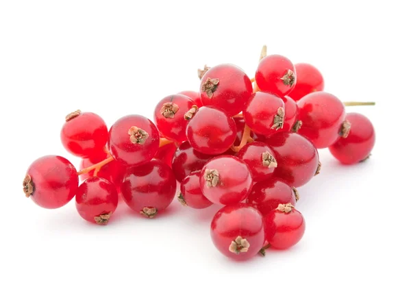 Red currant berry — Stock Photo, Image