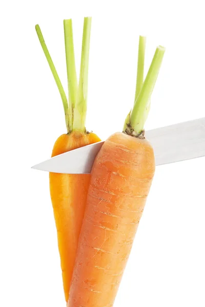 Fresh young carrot — Stock Photo, Image