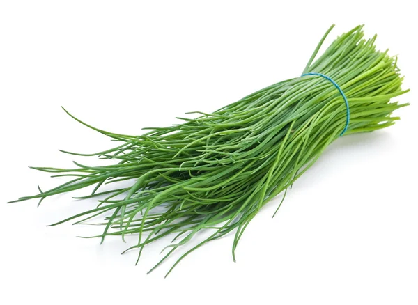 Young green onion — Stock Photo, Image