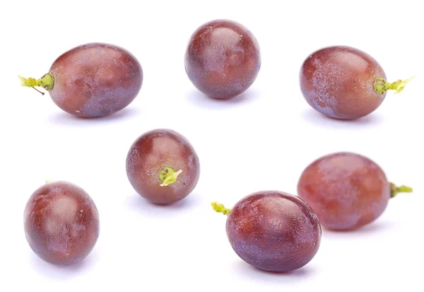 Lila szőlő — Stock Fotó