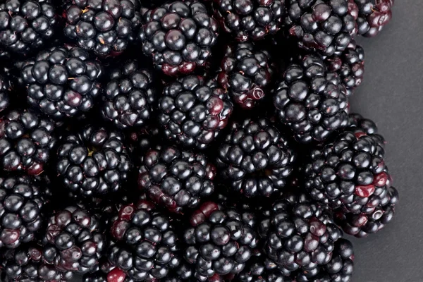 黑莓莓果 — 图库照片