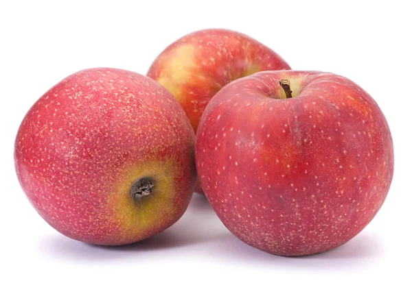 Ripe apple fruit — Stock Photo, Image