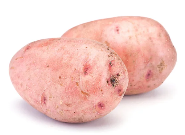 Raw potato — Stock Photo, Image