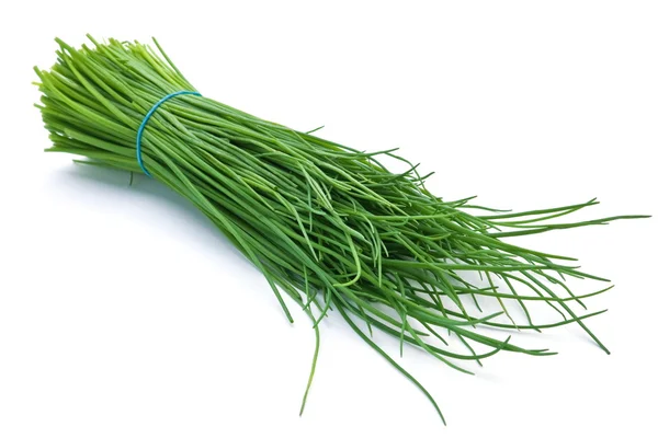 Young green onion — Stock Photo, Image