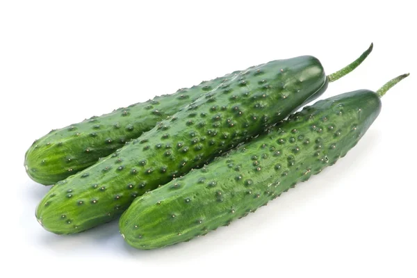 Lange komkommer — Stockfoto