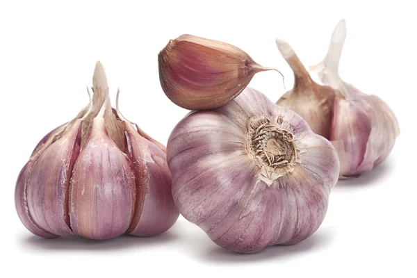 Garlic vegetable — Stock Photo, Image