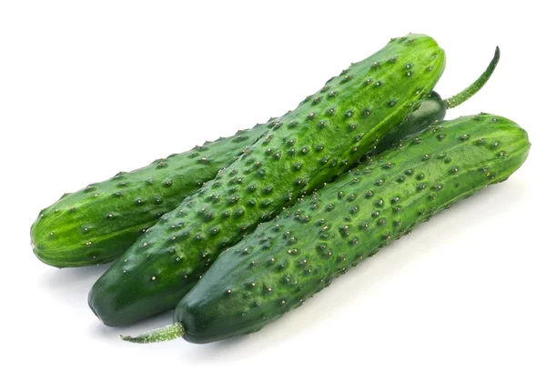 Uzun salatalık — Stok fotoğraf