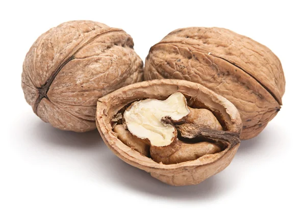 Walnut brown — Stock Photo, Image