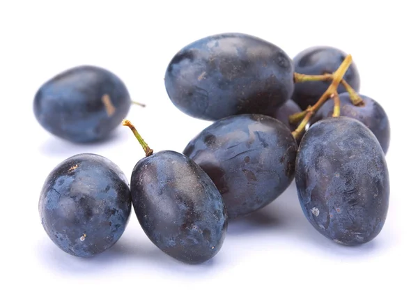Kék szőlő gyümölcs — Stock Fotó