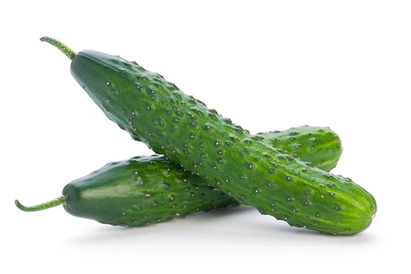 Uzun salatalık — Stok fotoğraf