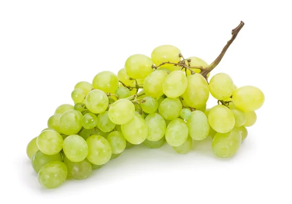 Verse groene druif — Stockfoto