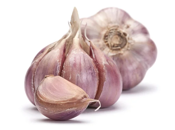 Garlic vegetable — Stock Photo, Image