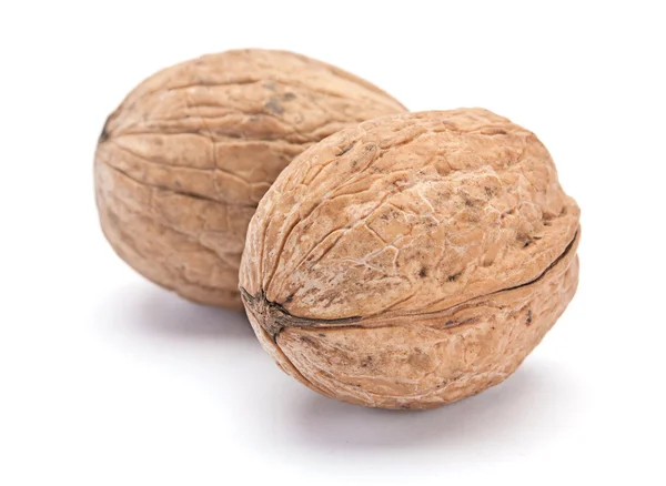 Walnut brown — Stock Photo, Image