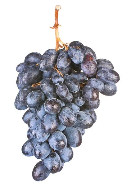 Blue grape fruit — Stock Photo, Image