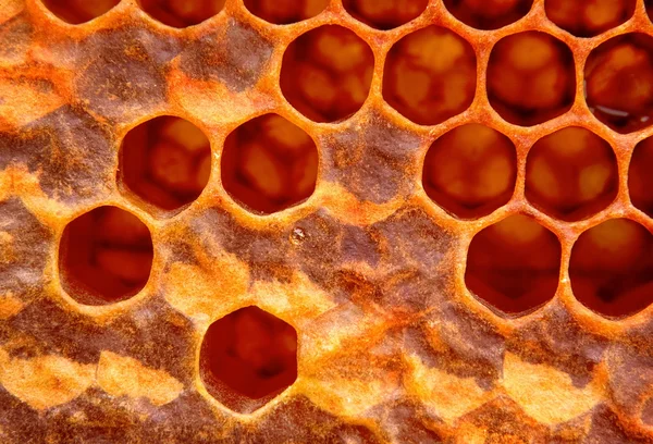 Honeycomb structure — Stock Photo, Image