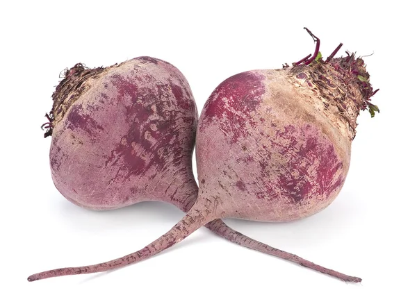 Beet root vegetable — Stock Photo, Image