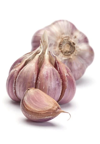 Garlic vegetable — Stock Photo, Image