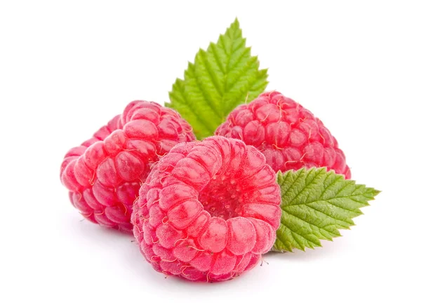 Raspberry vruchten — Stockfoto