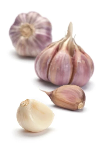 Garlic vegetable — Stock Photo, Image