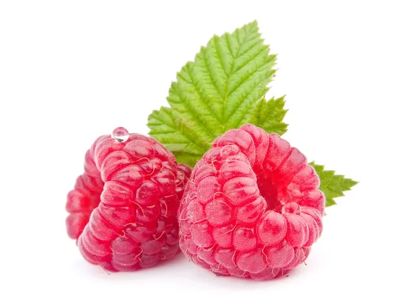 Raspberry fruit — Stock Photo, Image