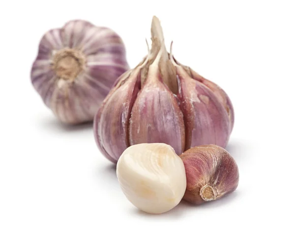 Garlic vegetable — Stock Photo, Image