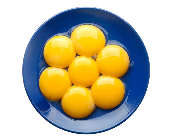 Gema de ovo de frango — Fotografia de Stock