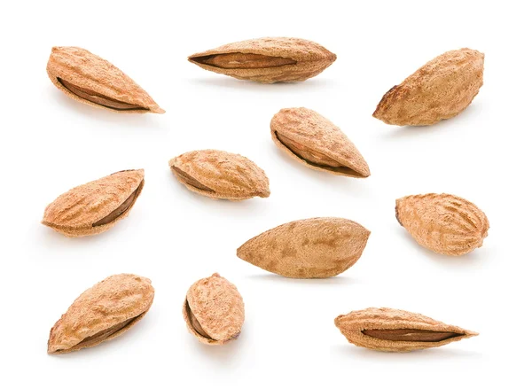 Set almond nut — Stock Photo, Image