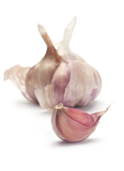 Garlic vegetable — Stock Photo, Image