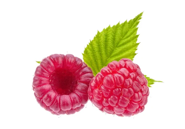 Raspberry on white — Stock Photo, Image