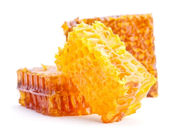 Honeycomb slice — Stock Photo, Image