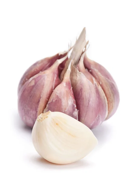 Garlic vegetable — Stock Photo, Image