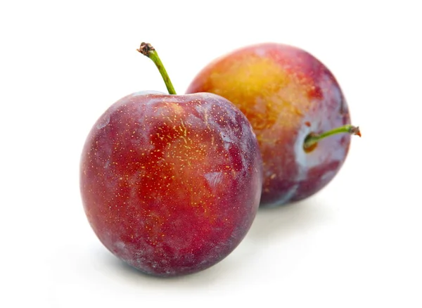 Слива фрукти ізольовані — стокове фото