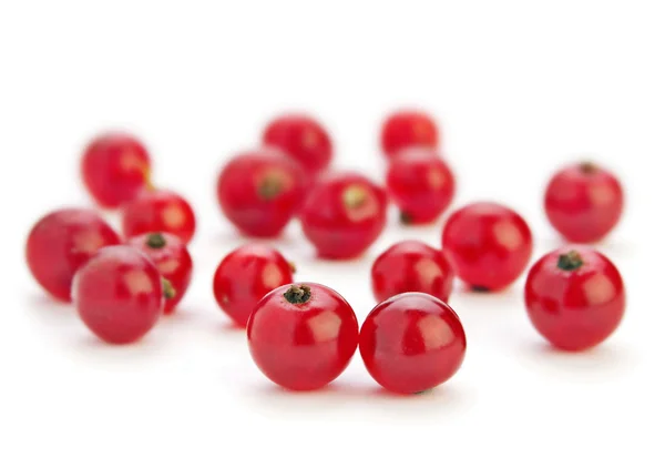 Red currant berry — Stock Photo, Image