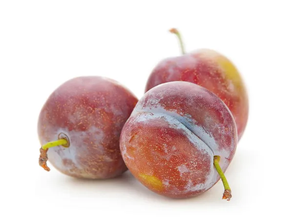 Buah plum terisolasi — Stok Foto