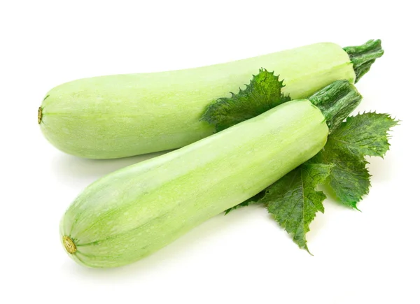 Groene courgette — Stockfoto