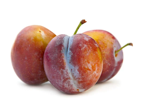 Buah plum — Stok Foto