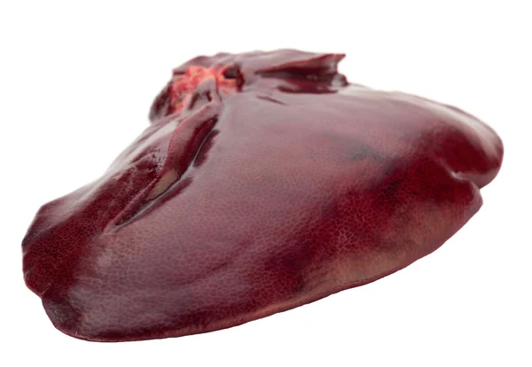 生豚肝臓 — ストック写真