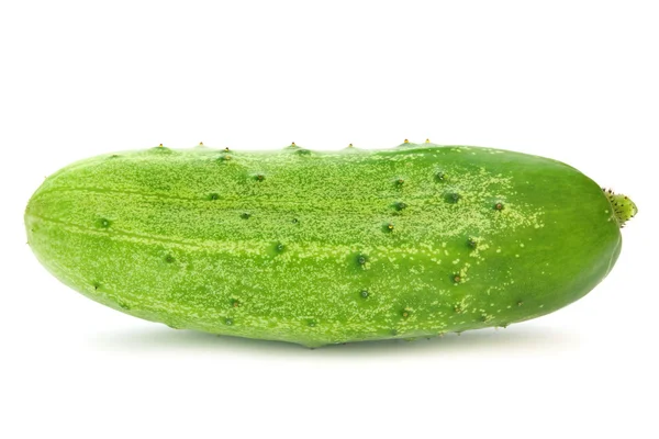 Komkommer op wit — Stockfoto