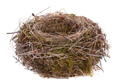 Bird nest isolated clipart