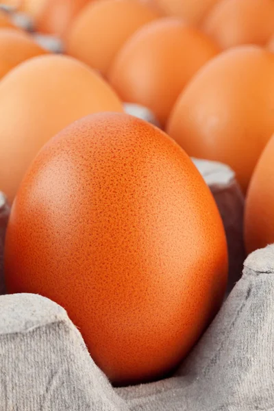 Brown egg closeup — Stock Photo, Image