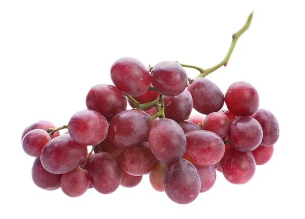 Red grape bunch — Stock Photo, Image