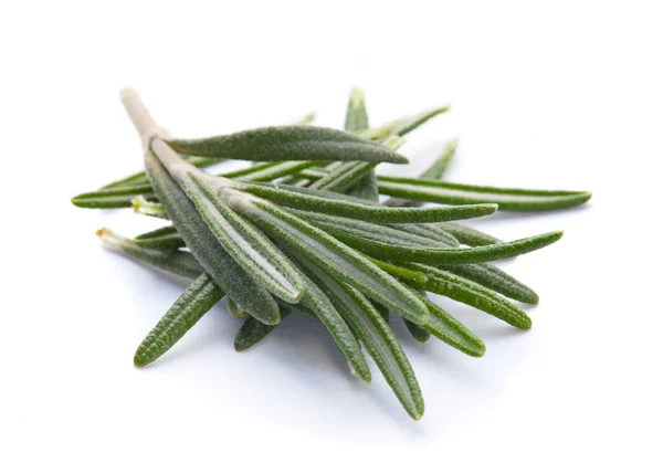 Rosemary herb — Stock Photo, Image