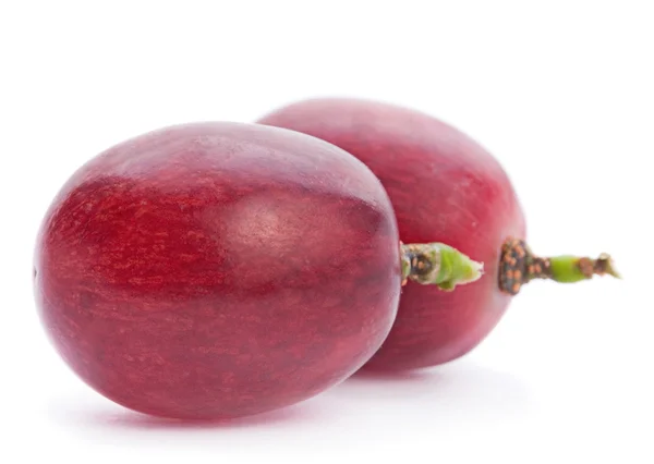 Grosses baies de raisin — Photo